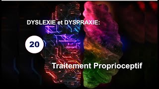 20 Dyslexie et Dyspraxie Traitement proprioceptif  Travaux scientifiques [upl. by Enahc938]