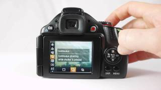 Canon PowerShot SX40 HS review [upl. by Salmon788]