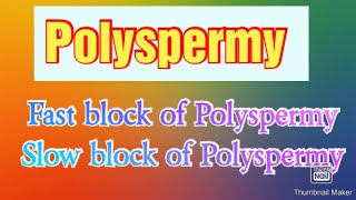 What is PolyspermyMechanism of Polyspermy  Slow block amp Fast block PolyspermyDevelopmental Bio [upl. by Ellerret]