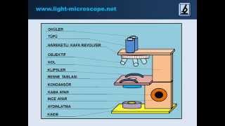 Mikroskobun Bölümleri [upl. by Starkey]