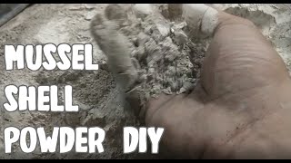 DIY Mussel Shell Powder [upl. by Colp]