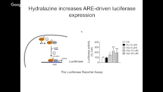 “Potential application of hydralazine a FDA approved antihypertensive drug for antiaging therapy” [upl. by Kruger]