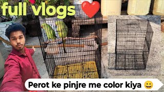 🦜🦜Perot ke pinjre me color Kara😊😀❤️mittoo trendingvideo [upl. by Strage]