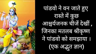 युधिष्ठिर ने दो सूंड वाला हाथी देखा  ऐसी ही अजीब चीजें बाकी सब पांडवो ने भी वन जाते हुए देखींजानिए [upl. by Novyak]