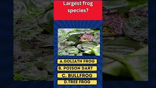 Guess the Largest frog species shortsviral fypage シ゚viral viralshorts viralvideoシ fypage [upl. by Enaz]