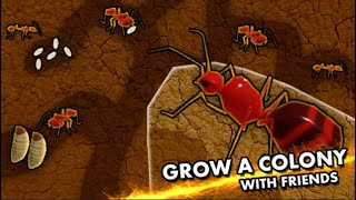 🐜Ants ROBLOX 7 [upl. by Arika]