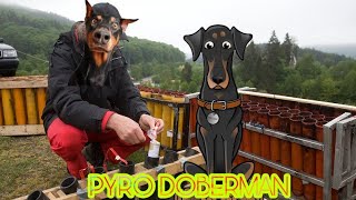 Pyro Dobermann  Der alte Zünsler [upl. by Hestia]