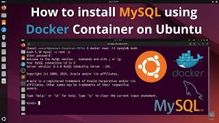 How to install MySQL using Docker Container on Ubuntu  Run Mysql Using Docker [upl. by Rollins]