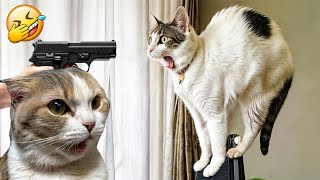 Ultimate Funny Cats and Dogs 😻🐶 Funniest Animals 🤣 Part 17 [upl. by Sheline]