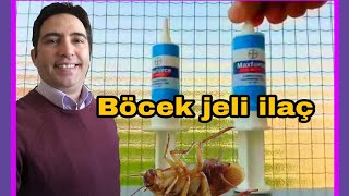 Evdeki hamam böceği nasıl yok edilir  En etkili hamamböceği ilacı hangisidir [upl. by Dodds141]