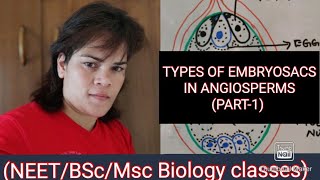 TYPES OF EMBRYOSAC IN ANGIOSPERMS PART1 [upl. by Naicad]