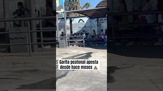 Garita peatonal de San Ysidro apesta desde hace meses [upl. by Enahpad]