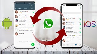 Transfer WhatsApp from Android to iPhone In Easy Steps  iMyfone iTransor for Whatsapp [upl. by Junko902]