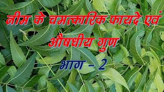 नीम के चमत्कारिक फायदे एवं औषधीय गुण  Part 2 Neem  Tree with medicinal properties  Part 2 [upl. by Barton]