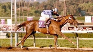 1993 Breeders Cup Classic  Arcangues  Post Race amp WrapUp [upl. by Furmark931]