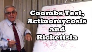 Coombs Test Actinomycosis and Rickettsia [upl. by Medrek]