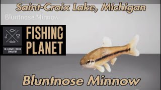 Fishing Planet Bluntnose Minnow SaintCroix Lake Michigan [upl. by Merl]