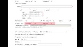 Cómo completar el formulario de inscripción para el ingreso a Prefectura [upl. by Ratcliffe989]