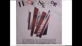 David Cameron  Heart Sensory  Italo Disco 1987 [upl. by Dasteel736]