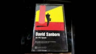 David Sanborn  straight to the heart [upl. by Marjorie841]