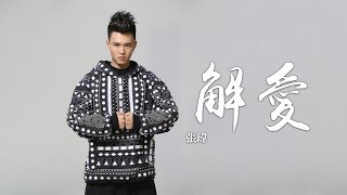 張瑋 《解愛》電視劇盛唐幻夜主題曲｜CC歌詞字幕 [upl. by Aylat58]