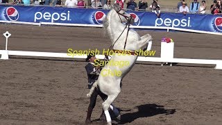 Spanish horse show in Santiago Chile [upl. by Klara]