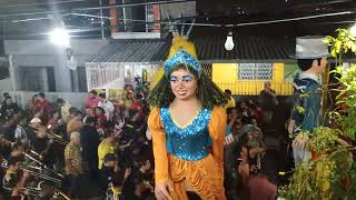 carnaval em Olinda [upl. by Sirc361]