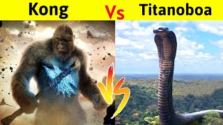 KONG vs TITANOBOA SNAKE  क्या Monster के दुनिया का कोंग रोक पायेगा Prehistoric साँप को [upl. by Schott]