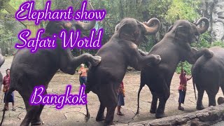 quotHilarious Elephant Show at Safari World Bangkok 🐘  LaughOutLoud Momentsquot [upl. by Uri]