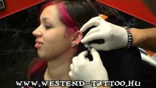 Industrial piercing Scaffold piercing [upl. by Sharline526]