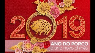 Horóscopo chinês veja previsões para o ano do Porco [upl. by Phonsa]