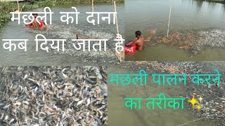 video machhali Kaise palte Hai fishingvideo fishingtackle26 fish video viralvideo [upl. by Welch]