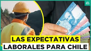 Las expectativas de empleo para Chile Las mejores oportunidades para conseguir trabajo [upl. by Ardnosac]