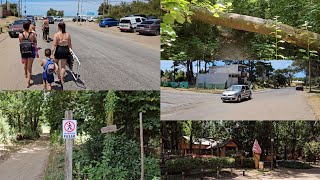 Los Bosques De Santa Teresita En Febrero Un Dia Sofocante La Costa Argentina [upl. by Rayham]