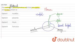 The cushion of parenchymatous cells that joins ovary and oveule is known as [upl. by Oswal]