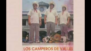 12 Tomando y Llorando  Los Camperos de Valles [upl. by Anaul]