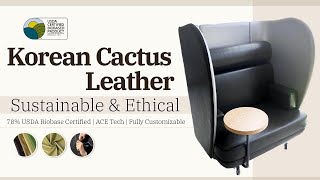 Cactus Leather with USDA Certified Biobased Made in S KoreaBiocomfort Competitive quality [upl. by Anayi]