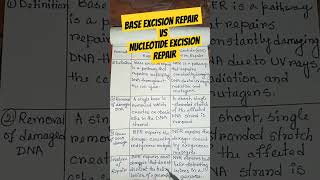 difference between base excision repair and nucleotide excision repairshortsfeed shortsytshorts [upl. by Acinorehs]