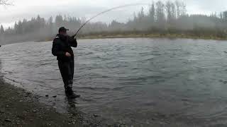 Steelhead Cowlitz River Morning Bite fishing [upl. by Kcirddet437]