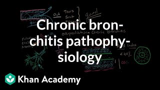 Chronic bronchitis pathophysiology  Respiratory system diseases  NCLEXRN  Khan Academy [upl. by Nyledaj371]