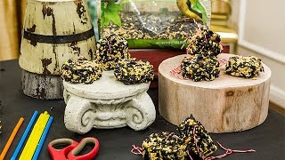 How To  Meredith Sinclairs DIY Winter Bird Seed Cakes  Hallmark Channel [upl. by Cherlyn]