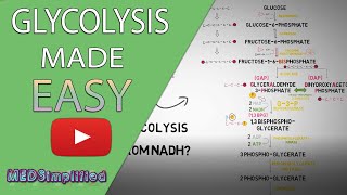 Glycolysis MADE EASY 2020  Carbohydrate Metabolism Simplified [upl. by Ivz491]