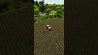 Killing WEEDS with a Massey Ferguson sprayer  Osada  Farming Simulator 22 [upl. by Kazue591]