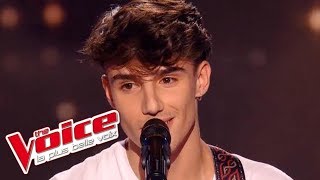 Kodaline – All I Want  Thibaud Maillefer  The Voice France 2016  Blind Audition [upl. by Takakura203]