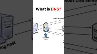 DNS trending serverdns localshortviral [upl. by Rori]