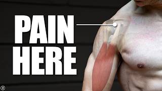 Biceps Tendinopathy  Tendinitis  Anterior Shoulder Pain Rehab Education amp Exercises [upl. by Fridlund]