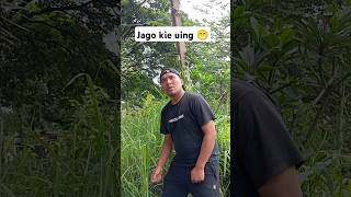 Jago kie uing 😀 komedi fypyoutube [upl. by Pawsner435]