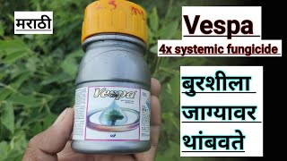 vespa fungicide uses in marathi  propiconazole difenoconazole use in marathi a2z farming marathi [upl. by Lanevuj669]