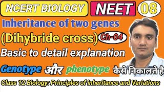 Inheritance of two genes l Dihybride cross l class 12 Biology l Ch4 L8 l neet biology neet2024 [upl. by Philipson]