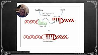 APBio Ch14 Pt1 Biotechnology amp Genomics [upl. by Porett]